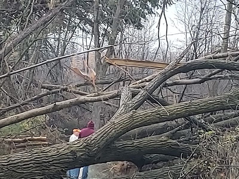 /pictures/Trail Clean Up 2018/20181104_074210.jpg